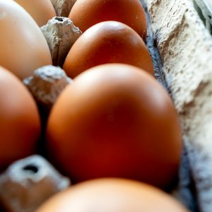 Chicken Eggs (dozen)