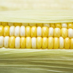 Sweet Corn (per ear)