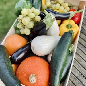 The Farm Box