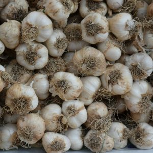 Garlic (per head)