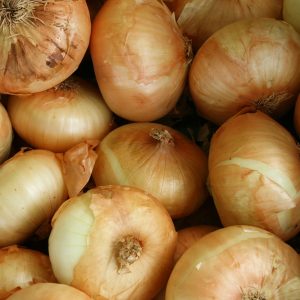 Sweet Onion (each)
