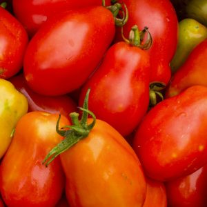 Roma Tomatoes (per lb)