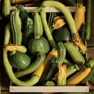 Summer Squash (each)